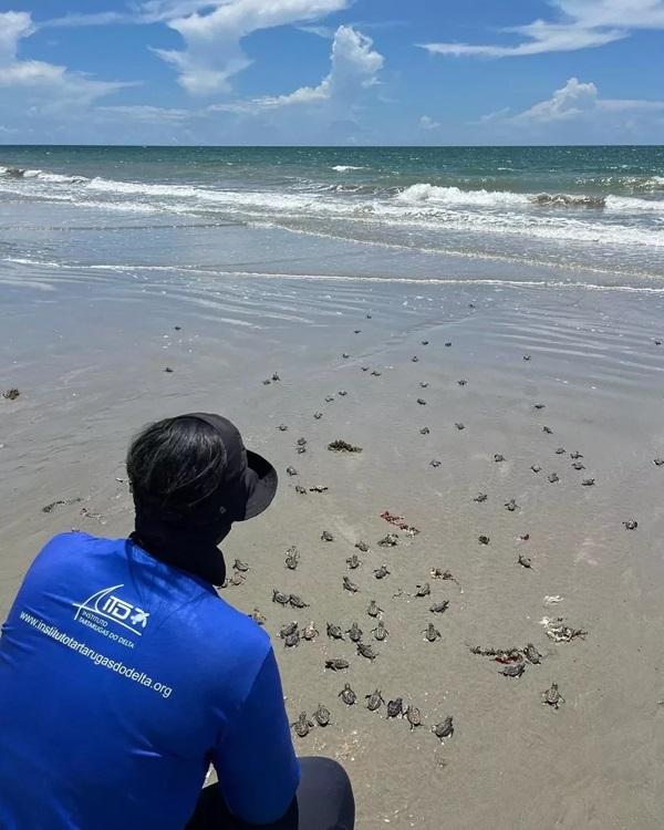 Nascimento de filhotes de tartarugas encanta banhistas no litoral do Piauí.(Imagem:Reprodução)