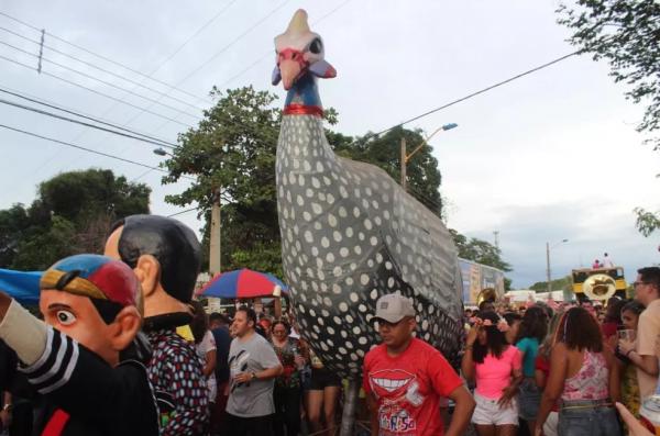  Capote da Madrugada, maior filho do Galo da Madrugada de Recife, segundo a organização.(Imagem:Rafaela /G1 PI )