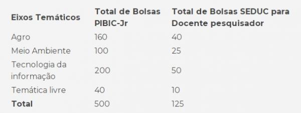 Distribuição de bolsas(Imagem:Divulgação)