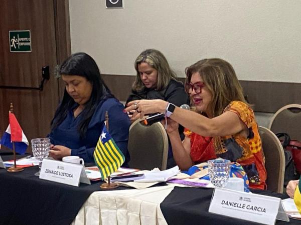 Secretária das Mulheres do Piauí participa de discussão sobre políticas públicas de gênero(Imagem:Divulgação)