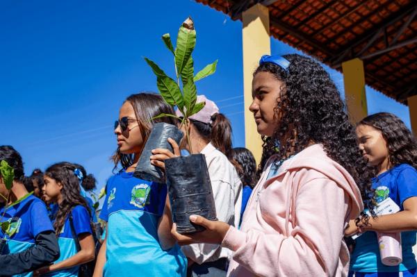 Mais de 66 mil mudas de plantas são distribuídas pela Semarh em 2025(Imagem:Ascom Semarh)