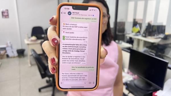 O servi&ccedil;o &eacute; gratuito, funciona 24 horas e pode ser acessado pelo n&uacute;mero 0800 086 0190.(Imagem:Ascom SSP-PI)