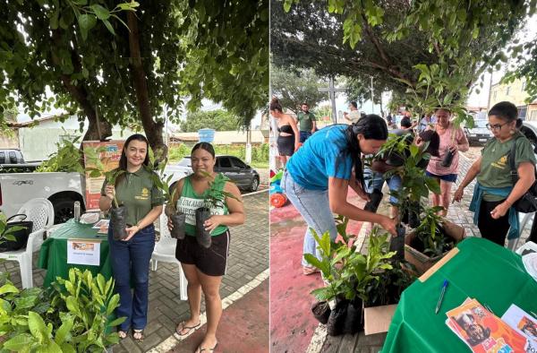 Prefeitura de Floriano realiza edi&ccedil;&atilde;o do ?Meu Amigo Pet? no bairro Nossa Senhora da Guia(Imagem:Secom)