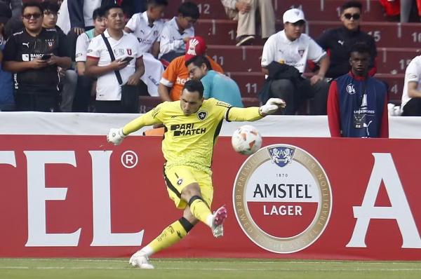 Gatito - LDU x Botafogo(Imagem: Vitor Silva / Botafogo)