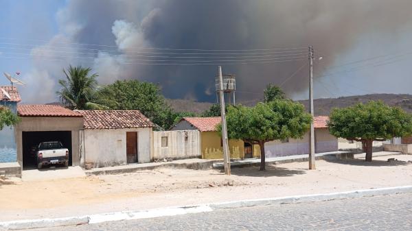 Brigadistas controlam incêndio de grandes proporções em Pimenteiras após quatro dias de combate(Imagem:Ascom Semarh)