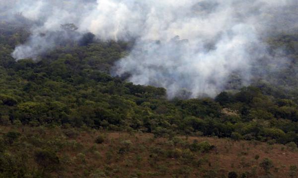 Medida pretende diminuir incêndios em florestas brasileiras.(Imagem:Valter Campanato/Agência Brasil)