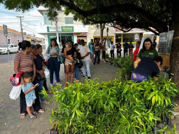 Prefeitura de Floriano celebra o Dia da Árvore com entrega de mudas à população.(Imagem:Secom)