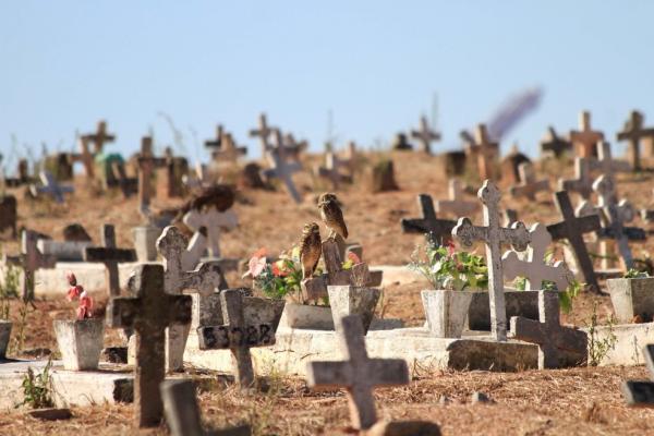 Das 20 vítimas da Covid-19, 15 são homens e cinco são mulheres.(Imagem:ELLAN LUSTOSA/CÓDIGO19/ESTADÃO CONTEÚDO)