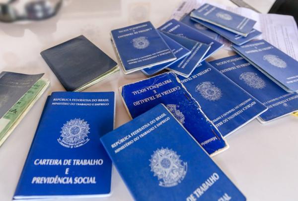 Quase 20 milhões de pessoas sobrevivem só com