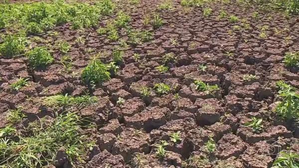 Estiagem inicia mais cedo no Piauí e mês de maio deve ter redução de 50% no número de chuvas, aponta meteorologia ? Foto:(Imagem:Reprodução/JN)