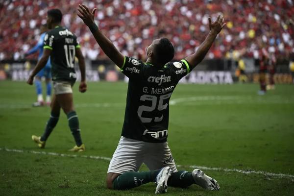  Gabriel Menino comemora gol em Palmeiras x Flamengo.(Imagem:Mateus Bonomi/AGIF )