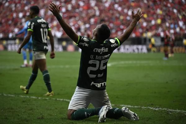 Gabriel Menino comemora gol em Palmeiras x Flamengo.(Imagem:Mateus Bonomi/AGIF )