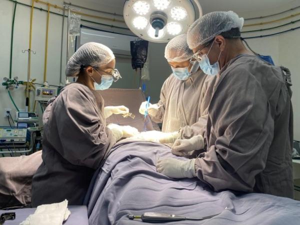 Com crescimento nas doa&ccedil;&otilde;es e cirurgias, Piau&iacute; registra ano hist&oacute;rico para a rede de transplantes(Imagem:Ascom Sesapi)