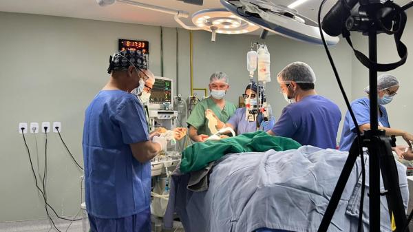 Hospital Infantil Luc&iacute;dio Portella(Imagem:Ascom)