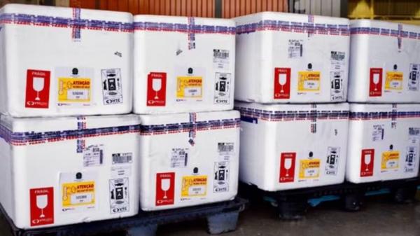 Bronquiolite: Piauí receberá mais de 11 mil doses da vacina que protege recém-nascidos.(Imagem:Divulgação/MS)