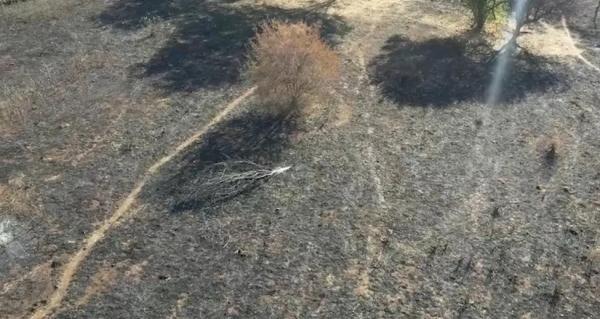 Imagem aérea do incêndio no Sul do Piauí.(Imagem:Reprodução/TV Clube)