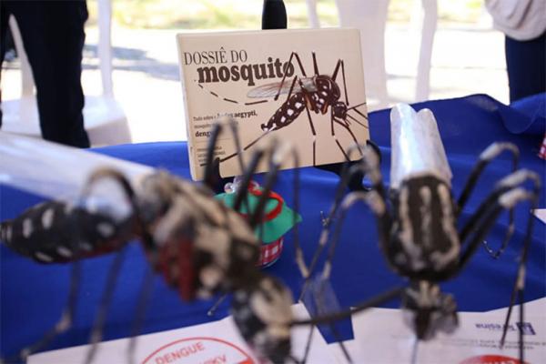 CRM-PI alerta sobre medidas mais enérgicas no combate a dengue no Piauí.(Imagem:Arquivo/Cidadeverde.com)