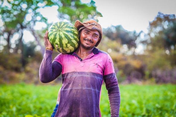Em 2025, programa contemplou 2.167 famílias rurais em situação de vulnerabilidade, com investimentos que totalizam R$ 9.968.200(Imagem:Tavynho Neto)