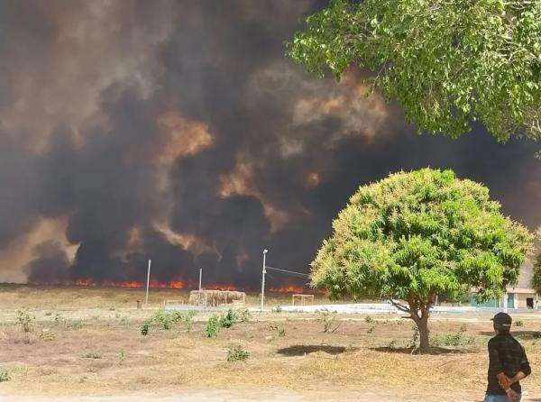 Incêndio destrói 7 mil hectares e ameaça Parque da Serra das Confusões.(Imagem:Reprodução)
