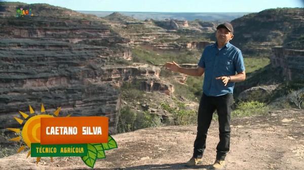Conheça o município de Assunção do Piauí com cerca de 8 mil habitantes e apelidado como a capital do feijão.(Imagem:Reprodução )