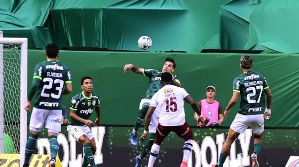 Palmeiras x Fluminense (Imagem:Marcos Ribolli)