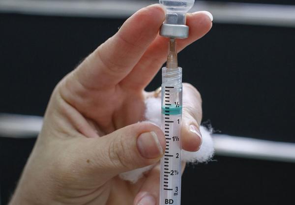 O Instituto Butantan divulgou ter entregue nessa última sexta-feira, 25, o primeiro lote de vacinas contra a gripe para o Programa Nacional de Imunizações (PNI) deste ano. Ao todo,(Imagem:Reprodução)