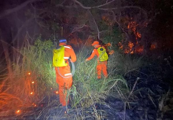 Ao g1, o CBM-PI informou que esse é considerado um período crítico com relação a incêndios em áreas de mata, por conta das queimadas, prática utilizada para limpeza de terrenos, pr(Imagem:Reprodução)