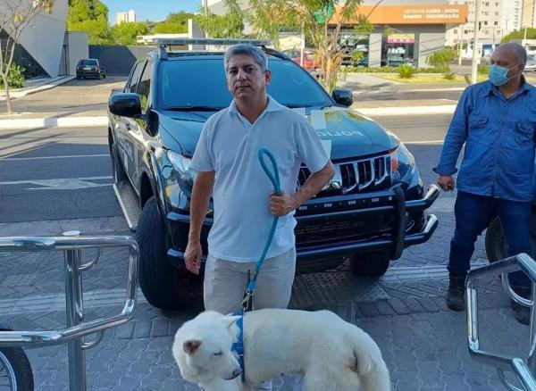 Delegado Emir Maia em Teresina com cadela vítima de violência sexual.(Imagem:Reprodução/ Instagram Emir Maia)