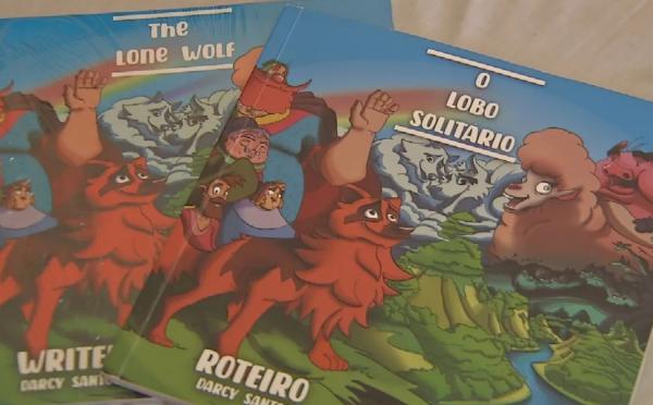 Projeto arrecada livros para mais de 2 mil crianças e adolescentes no Piauí; saiba como doar.(Imagem:Reprodução/TV Anhanguera)