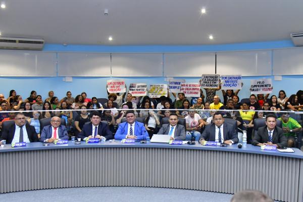 Castração de animais é tema da Tribuna Livre desta quinzena na Câmara de Floriano(Imagem:CMF)