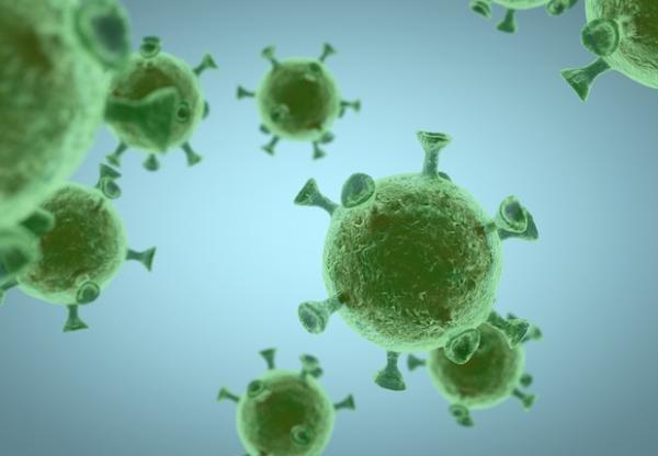 Nova variante do coronavírus é encontrada em brasileiros no Japão, diz governo(Imagem:Reprodução)