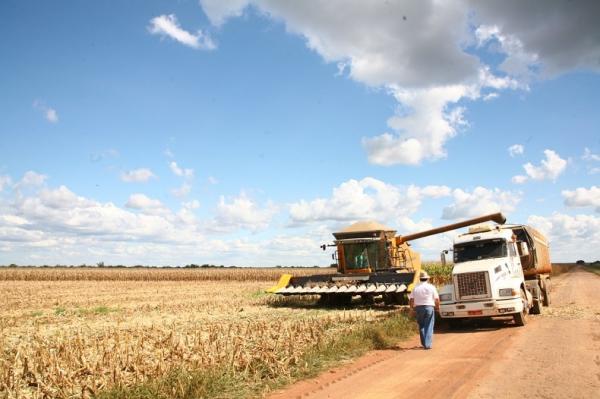 Piauí tem 3 municípios entre os 100 maiores produtores de soja do Brasil.(Imagem:Arquivo/ Revista Cidade Verde)