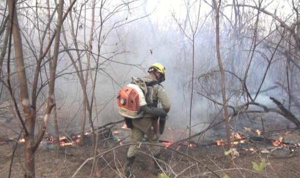 Brigadistas percorrem até 10 km e carregam bolsa com água de 22 quilos para combater incêndio no Piauí(Imagem:Reprodução)