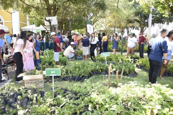 Feira de Serviços acontece na Praça Sebastião Martins.(Imagem:Francisco Gilásio)