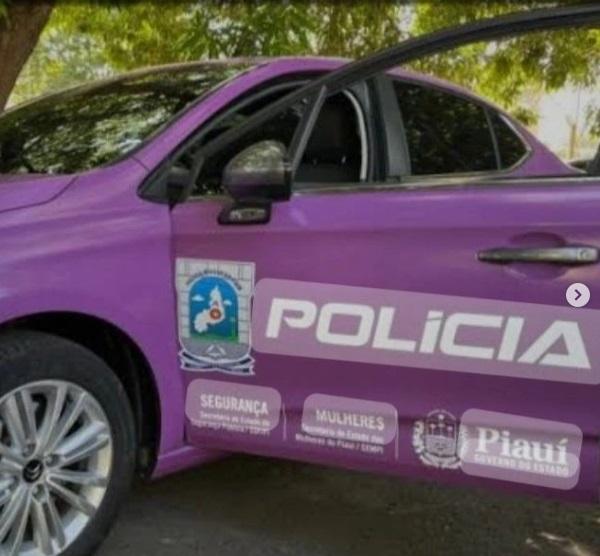Intervenção da Patrulha Maria da Penha garante segurança em caso de violência doméstica em Floriano.(Imagem:Reprodução/Instagram)