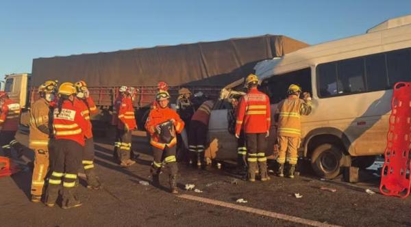 kksksksksksksk(Imagem:Reprodu&ccedil;&atilde;o)