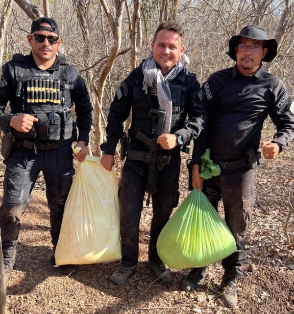 Draco realiza 77 opera&ccedil;&otilde;es e refor&ccedil;a a&ccedil;&otilde;es de enfrentamento ao crime organizado em todo o Piau&iacute;(Imagem:Ascom SSP)