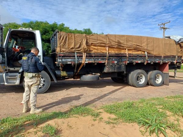 Carga de madeira serrada era transportada sem qualquer licen&ccedil;a ambiental ou documenta&ccedil;&atilde;o fiscal.(Imagem:Divulga&ccedil;&atilde;o/PRF)
