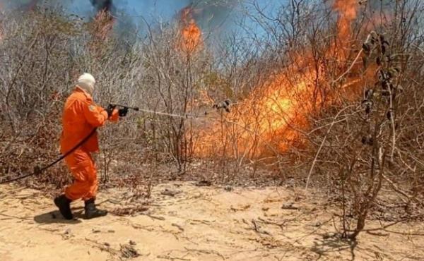 Medidas devem ser intensificadas a partir deste mês de setembro, quando a temperatura deve aumentar e a umidade do ar cair ainda mais.(Imagem:Divulgação)