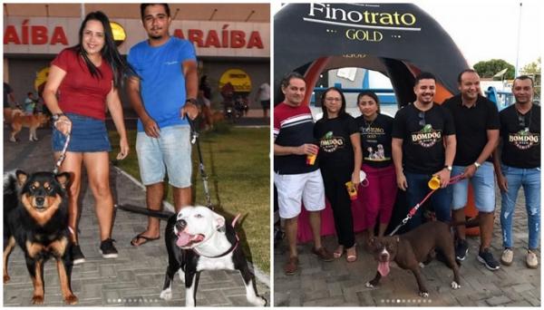 Encontro de criadores de pitbulls em Floriano celebra 7 anos do grupo e combate preconceitos.(Imagem:Reprodução/Instagram)