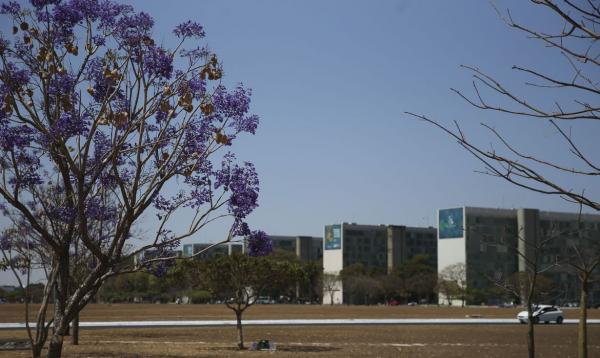 Presença de mulheres cai 1 ponto percentual de 2019 para 2023.(Imagem:José Cruz/Agência Brasil)