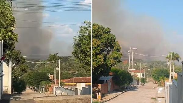 Incêndio de grande proporção atinge floresta de cocais no Norte do Piauí.(Imagem:Corpo de Bombeiros do Piauí)