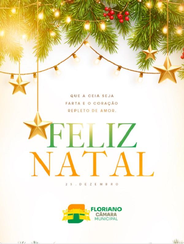 C&acirc;mara Municipal de Floriano divulga mensagem de Natal aos florianenses.(Imagem:Reprodu&ccedil;&atilde;o/Instagram)