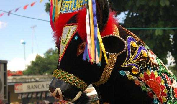 Iphan cria programa de bolsas para pesquisa do folclore.(Imagem:Bumba Meu Boi)