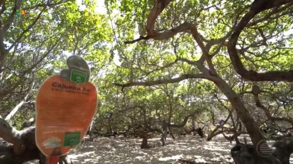 Mirante do Cajueiro Rei, litoral do Piau&iacute;, come&ccedil;a a ser constru&iacute;do e ser&aacute; entregue em dezembro de 2023.(Imagem:Reprodu&ccedil;&atilde;o)