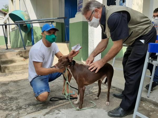 A Fundação Municipal de Saúde (FMS) realiza neste sábado (20) a campanha de vacinação contra a raiva para cães e gatos das zonas rurais Sul e Sudeste de Teresina. Diferente da imun(Imagem:Reprodução)