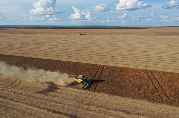 A produção conjunta de soja e milho alcançará cerca de 6,4 milhões de toneladas representando 95,5% do total da produção de grãos do Piauí.(Imagem:Divulgação)