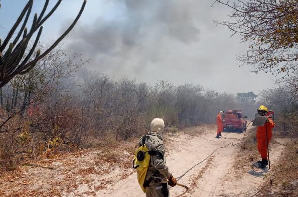 Bombeiros estão em Pedro II para controlar as chamas.(Imagem:Divulgação /Corpo de Bombeiros)