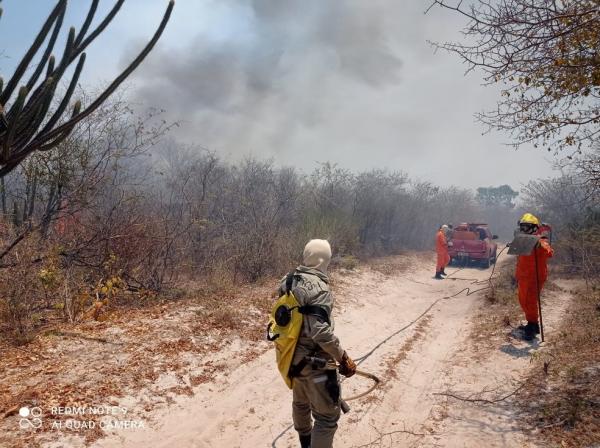 Incêndios atingem áreas de vegetação em mais cidades do Piauí(Imagem:Reprodução)