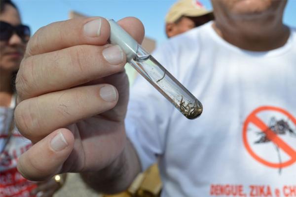 Piauí já registra aumento de mais de 700% nos casos de dengue, diz Sesapi.(Imagem:Arquivo/Cidadeverde)